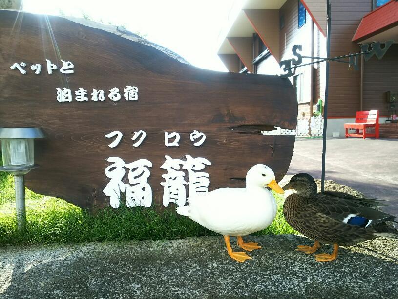 Fukurou Kushimoto Exterior foto